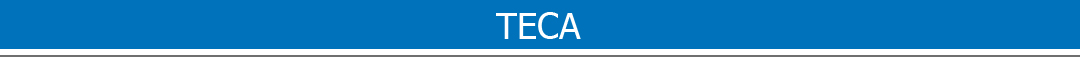 Teca